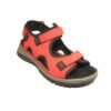 Waldlaufer H-Sora Red 9 P1370060